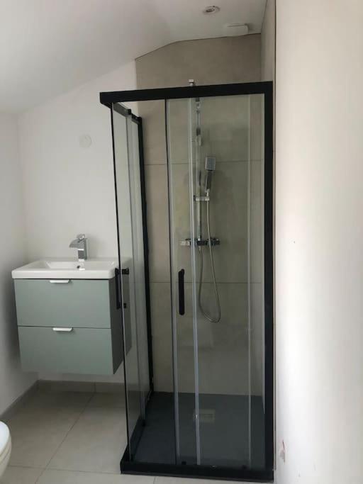 Appartement Cosy-Grand Stade Villeneuve D'Ascq 勒藏讷 外观 照片